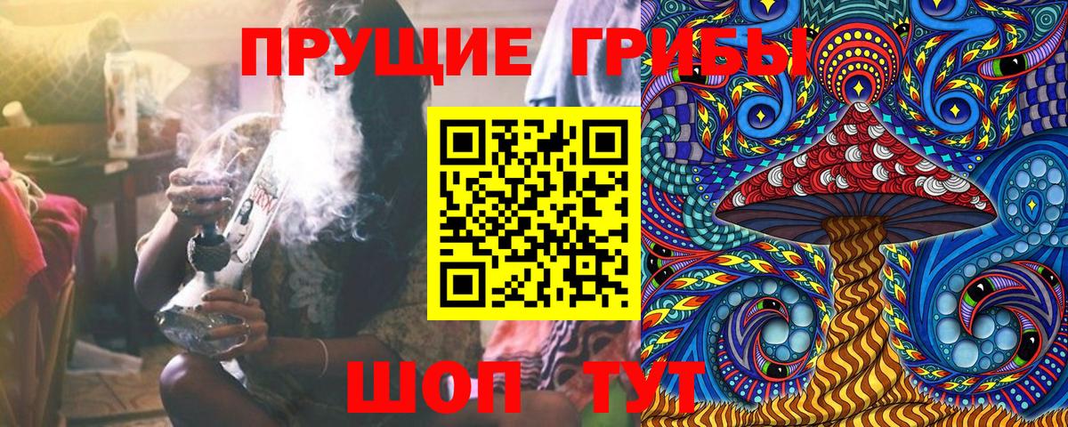 купить наркоту  Псилоцибиновые грибы GOLDEN TEACHER  Вход с VPN  Добрянка  Галлюциногенные грибы Psilocybe 
