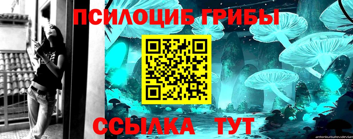 Псилоцибиновые грибы MAGIC MUSHROOMS Добрянка